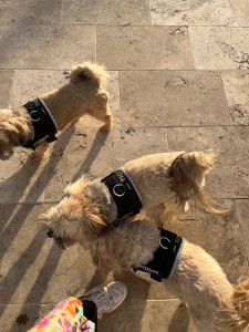 Photo de galerie - Trois vacanciers chez tatie