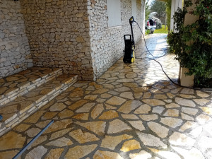 Photo de galerie - Home sitting - Accueil - Gardiennage