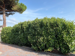 Photo de galerie - AVANT