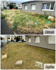 Photo de galerie - Tonte de pelouse - Débroussaillage