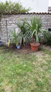 Photo de galerie - Avant 