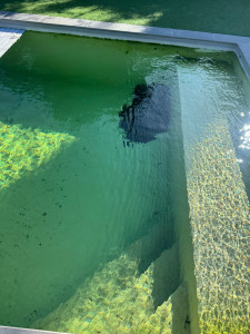 Photo de galerie - Entretien piscine