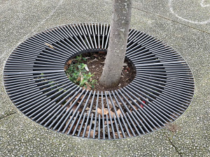 Photo de galerie - Installation des contours d'arbres en acier mobilier urbain 