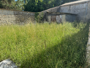 Photo de galerie - Débroussaillage avant 