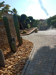 Photo de galerie - Paysagiste - Aménagement du jardin