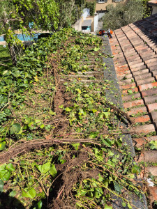 Photo de galerie - Paysagiste - Aménagement du jardin