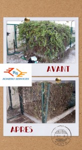 Photo de galerie - Jardinier