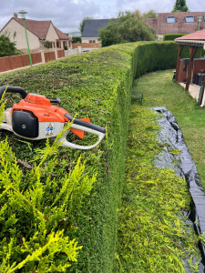 Photo de galerie - Haie 