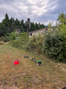 Photo de galerie - Avant débroussaillage 