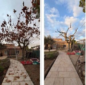 Photo de galerie - Paysagiste - Aménagement du jardin