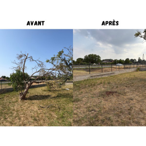 Photo de galerie - Elagage et coupe d'arbres