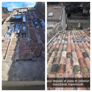 Photo de galerie - Couverture - Toiture