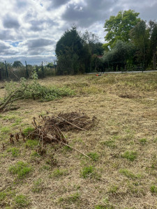 Photo de galerie - Tonte d’un terrain avec herbe haute 
