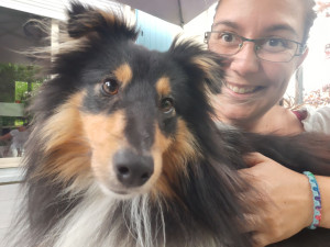 Photo de galerie - Famille d'accueil pour Animaux et membre active d'une association animale ; je suis habituée à les garder, promener et formée à les soigner.
Cela passe des Nacs, aux poules, aux chiens et chats.