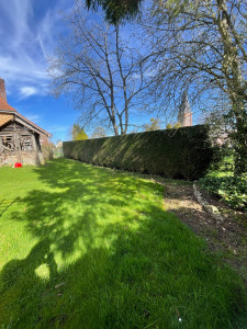 Photo de galerie - Haie 