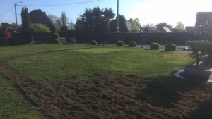 Photo de galerie - Paysagiste - Aménagement du jardin