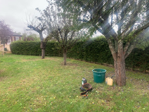 Photo de galerie - Abattage de haies 