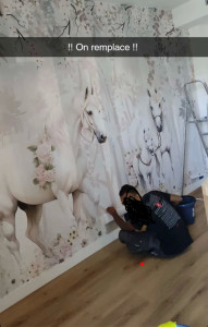 Photo de galerie - Peinture - Tapisserie