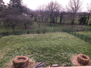 Photo de galerie - Taille de pampa débroussailleur et tonte