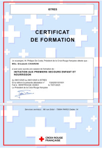 Photo de galerie - Brevet secourisme enfants et nourrissons 