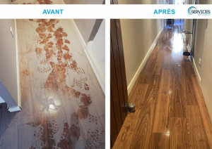 Photo de galerie - Nettoyage parquet 