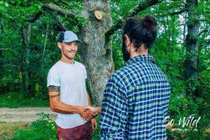 Photo de galerie - Devis avec diagnostic de l’arbre réalisé sur place 
