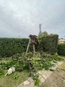 Photo de galerie - Bricolage et multi services