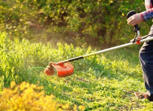 Photo de galerie - Débroussailleuse