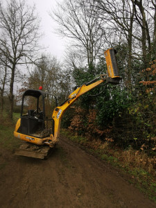 Photo de galerie - Elagage et coupe d'arbres