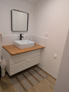 Photo de galerie - Pose meuble vasque , vasque et miroir