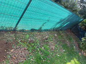 Photo de galerie - Déssouchage 