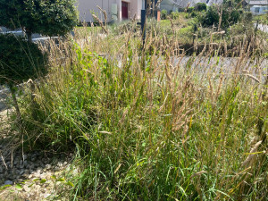 Photo de galerie - Avant 