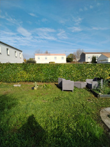 Photo de galerie - Taille haie