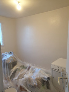 Photo de galerie - Fibre et peinture mur 