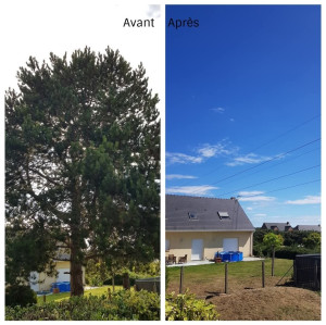 Photo de galerie - Abattage d'arbres 