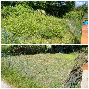 Photo de galerie - Tonte de pelouse - Débroussaillage