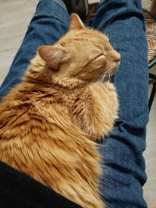 Photo de galerie - Soirée...moment calme