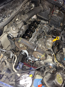 Photo de galerie - Courroie de distribution Golf4 1,9 SDI 