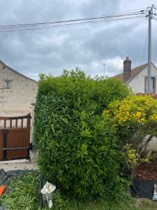 Photo de galerie - Avant