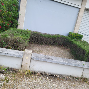 Photo de galerie - Le final du côté gauche du cabinet de cerons