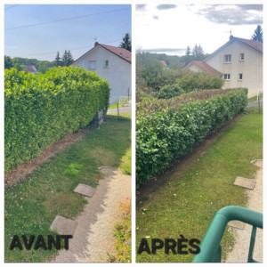 Photo de galerie - Réduction importante de haie (rabotage d’environ 2 mètres de hauteur) ainsi que l'évacuation des déchets. 