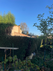 Photo de galerie - Haie 4m, Rabatage a 2,50