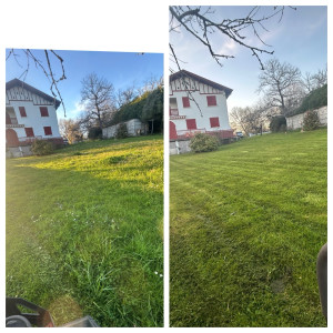 Photo de galerie - Tonte de pelouse en mulching 