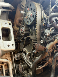 Photo de galerie - Distribution 2l tdi 