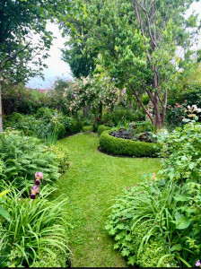 Photo de galerie - Entretien général d’un jardin 