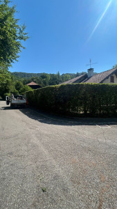 Photo de galerie - Taille de haies et d'arbustes