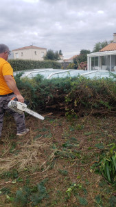 Photo de galerie - Entretien de jardin 