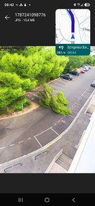 Photo de galerie - Elagage et coupe d'arbres