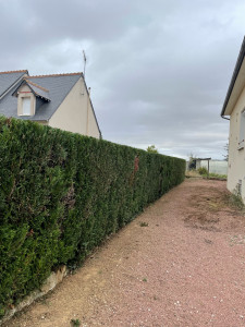 Photo de galerie - Raccourci 