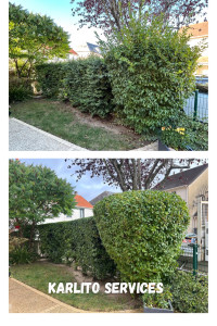 Photo de galerie - Taille de haies et d'arbustes